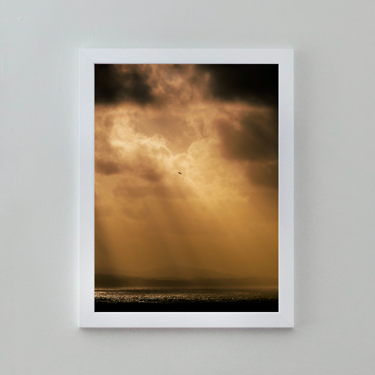 mockup immersion nimbe de l'oiseau claire favry zoom