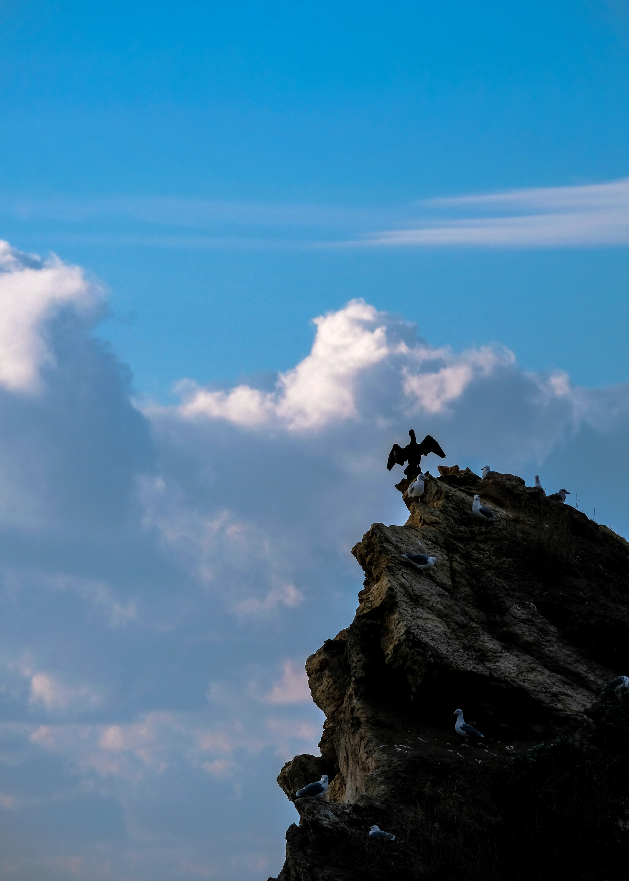 oeuvre appel du ciel claire favry