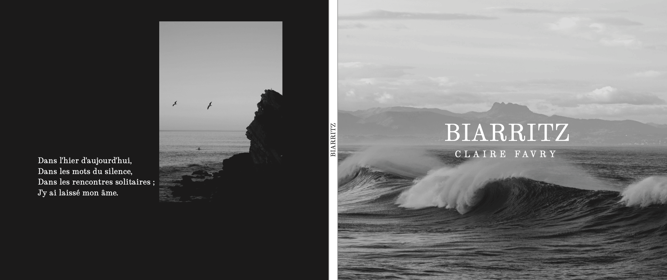 couverture livre "BIARRITZ" claire favry